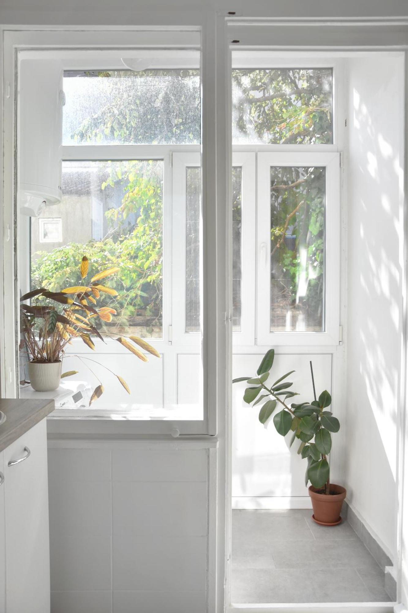 Apartament Pannonian Sailor Nowy Sad Zewnętrze zdjęcie